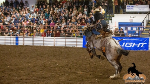 A man in a cowboy holds on to the saddle as his horse bucks in the right third of the photo. The audience, a massive crowd that fills the stands with a row of people even standing in the back, have their eyes glued to the horse and rider.