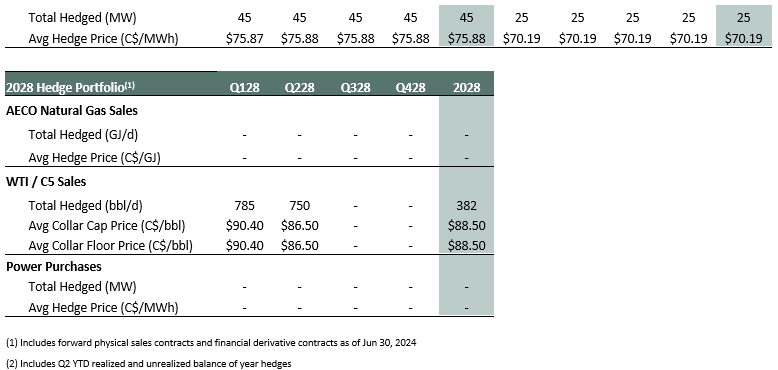 hedge position and portfolio