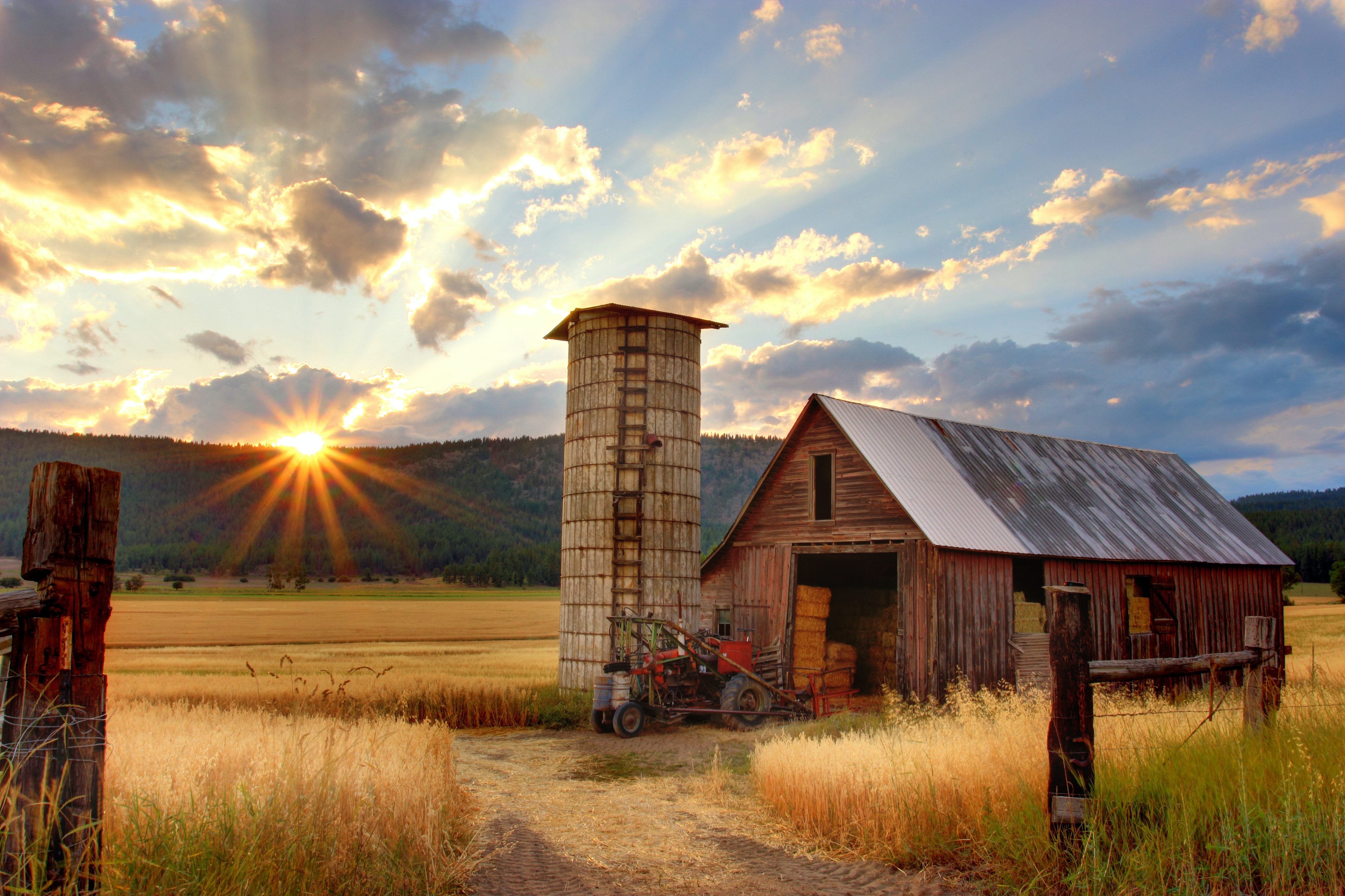Rural Barn - summer