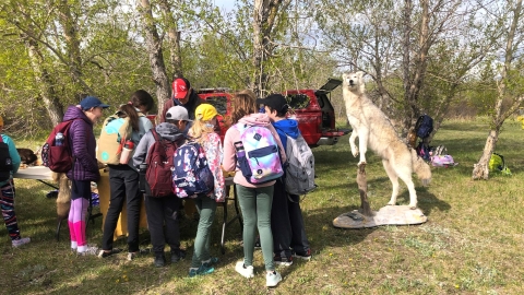 Children huddled around an adult who is showing them something not visible in shot. There is a taxidermy fox beside them, standing on its hind legs. They are in a park with trees and green grass on a moderately sunny day.